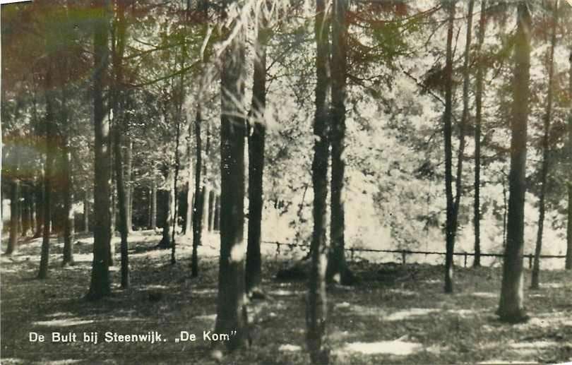 377-161-007 Steenwijk De Bult, Verzamelen, Verzenden, Voor 1920, Overijssel