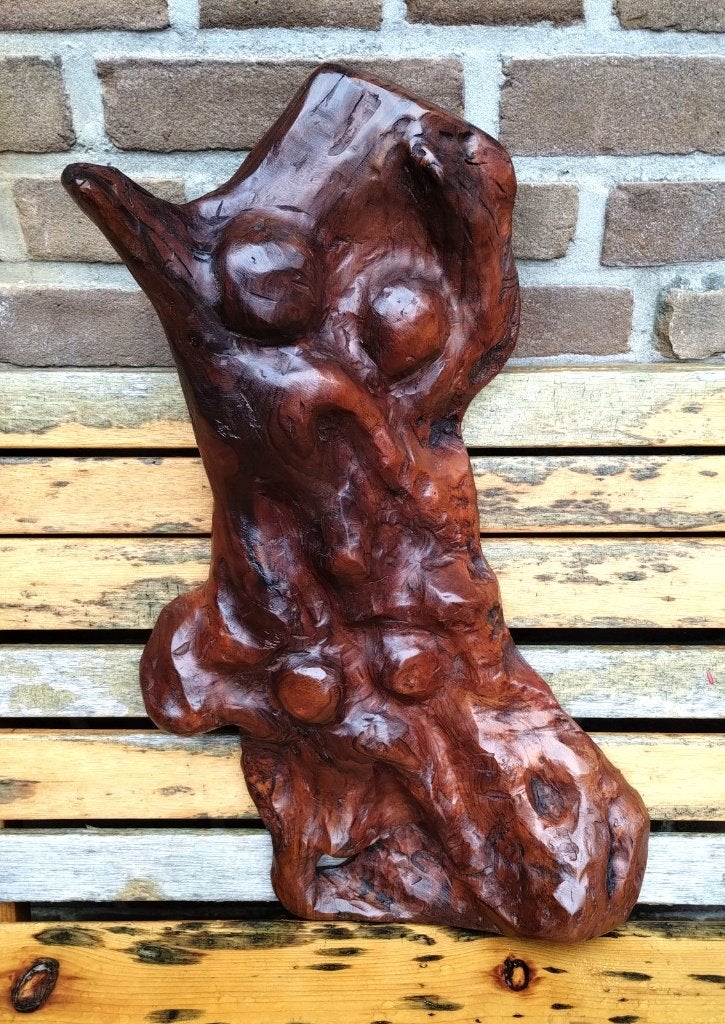 Hardhouten kunstobject, echt jaren vijftig.., Wandsculptuur, 30 cm, Hout, Vintage