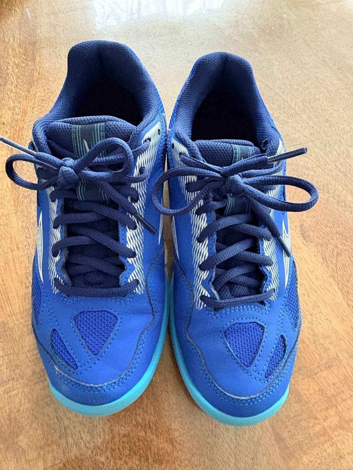 Maat 38 Mizuno Stealth Star 2 Jr. indoorschoenen - Blauw, Ophalen of Verzenden, Gebruikt
