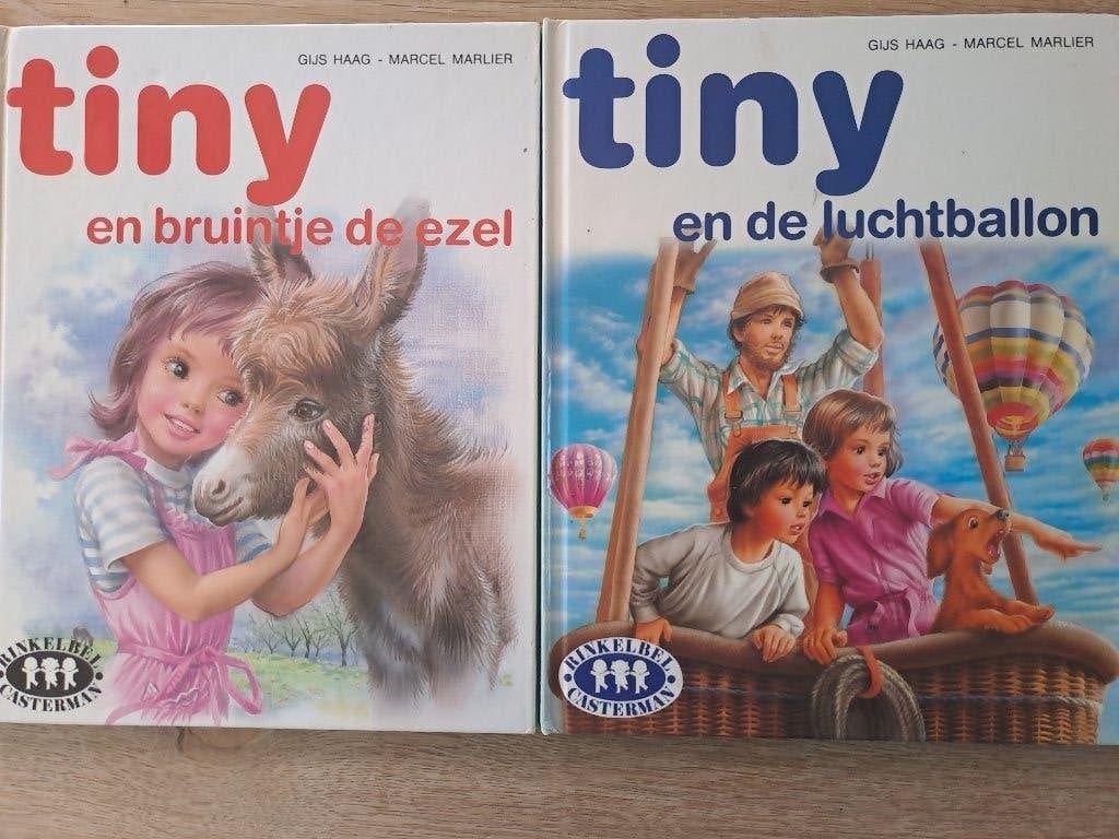 TINY. 2 BOEKJES. GIJS HAAG., Ophalen of Verzenden, Gelezen, Gijs Haag, Fictie algemeen