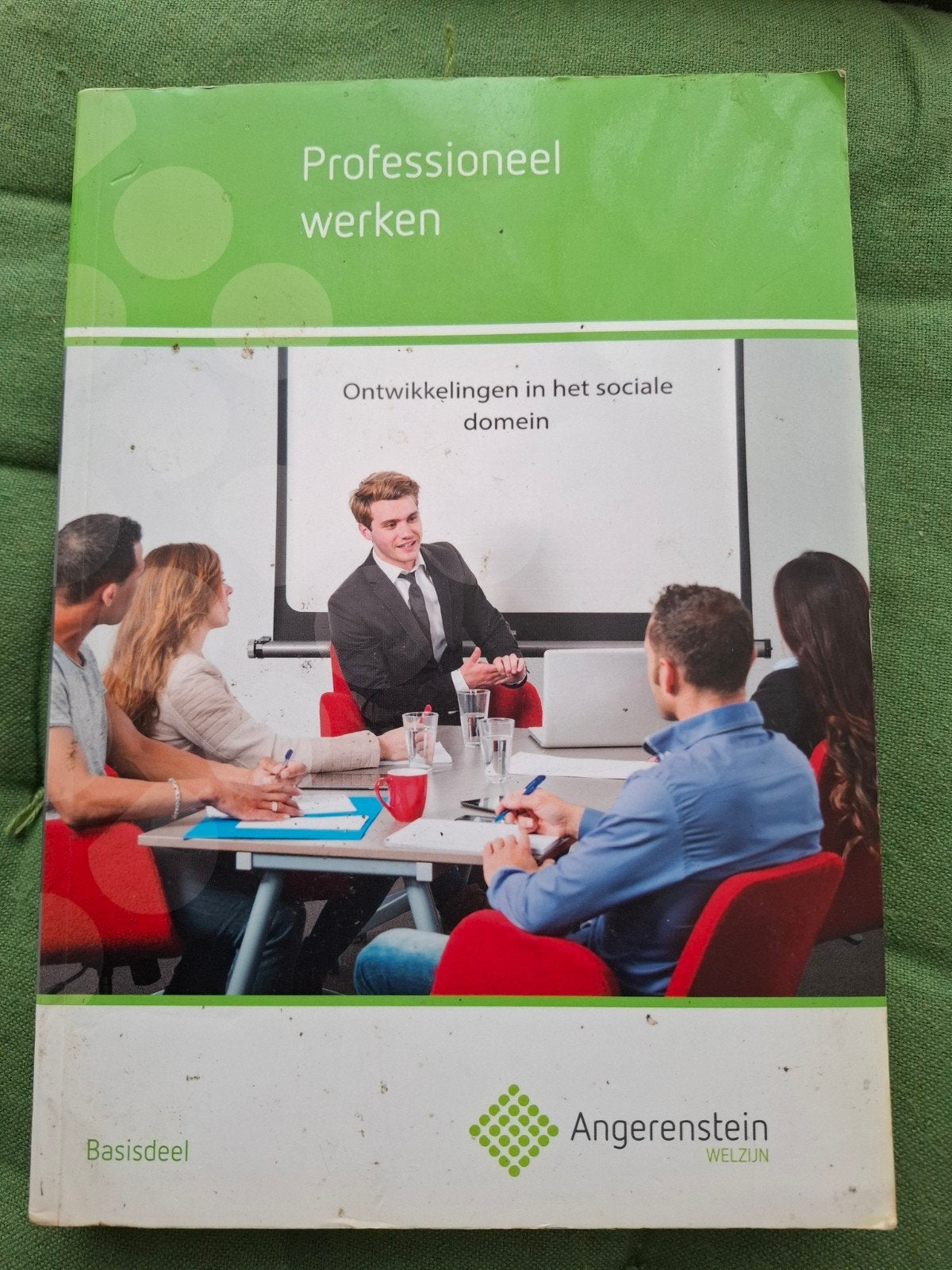 Professioneel werken - Ontwikkelingen in het sociale domein, Boeken, Ophalen of Verzenden, Zo goed als nieuw, MBO, Angerenstein Welzijn