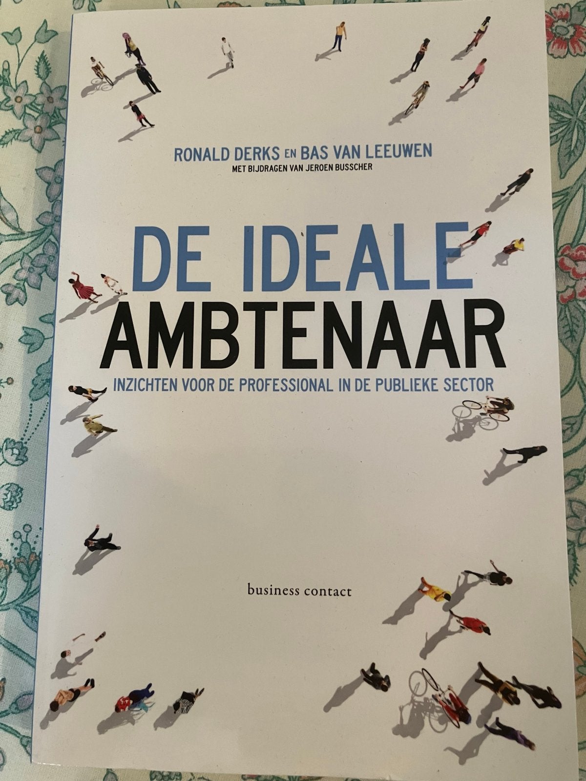 De Ideale Ambtenaar: Inzichten voor de Professional, Ophalen of Verzenden, Gamma, Zo goed als nieuw, HBO