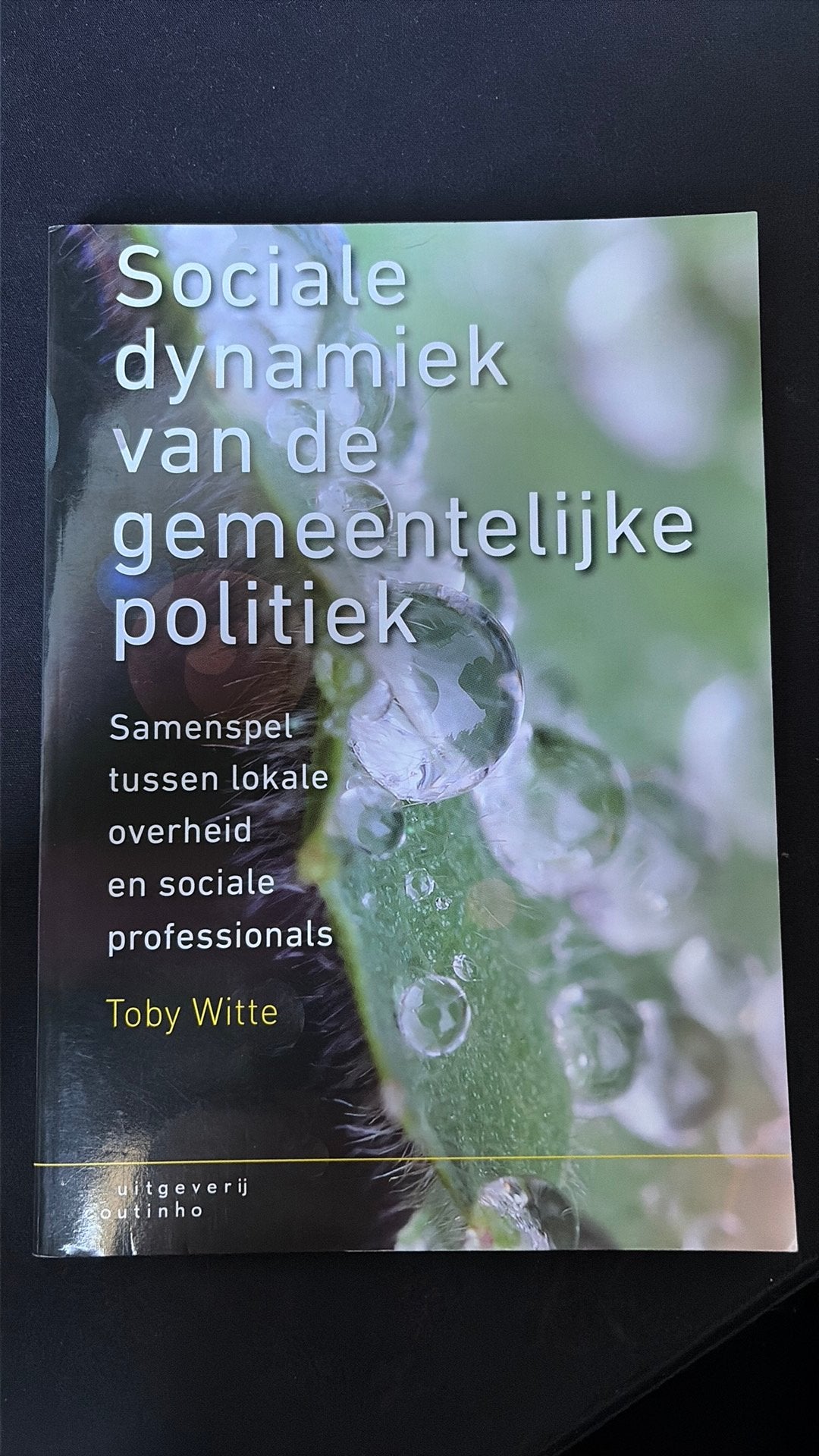 Toby Witte - Sociale dynamiek van de gemeentelijke politiek, Boeken, Sociale wetenschap, Ophalen of Verzenden, Zo goed als nieuw