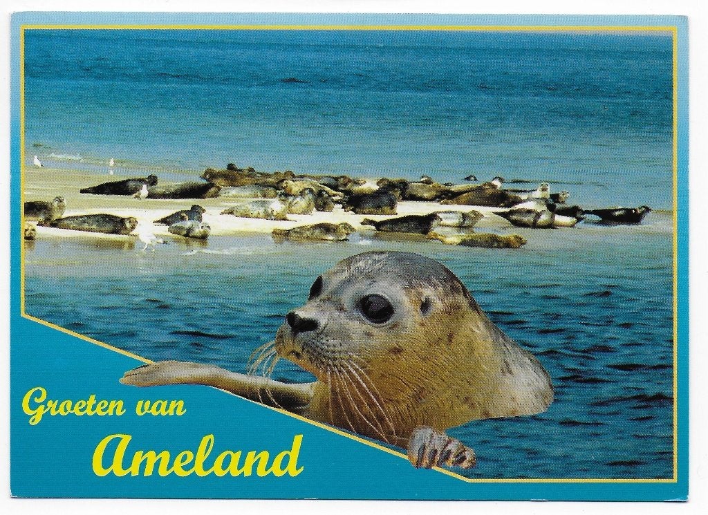 Ameland gelopen Ansichtkaart (B2437), Ophalen of Verzenden, 1980 tot heden, Gelopen, Waddeneilanden