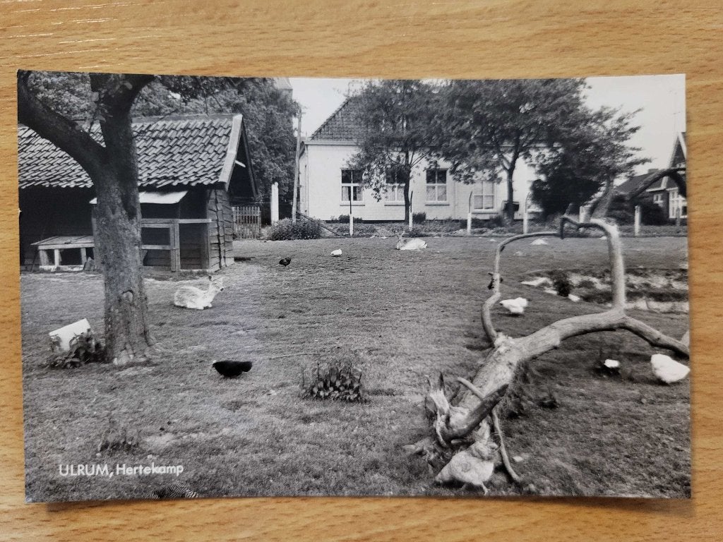 ansicht ULRUM Hertekamp, Ophalen of Verzenden, Voor 1920, Groningen