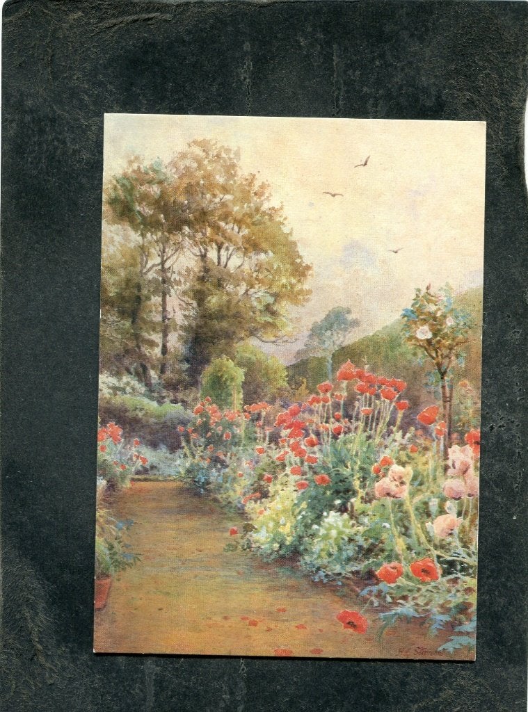 Ansicht Howard Stormont - Poppy Border, Verzamelen, Ansichtkaarten | Themakaarten, Verzenden, 1980 tot heden, Ongelopen