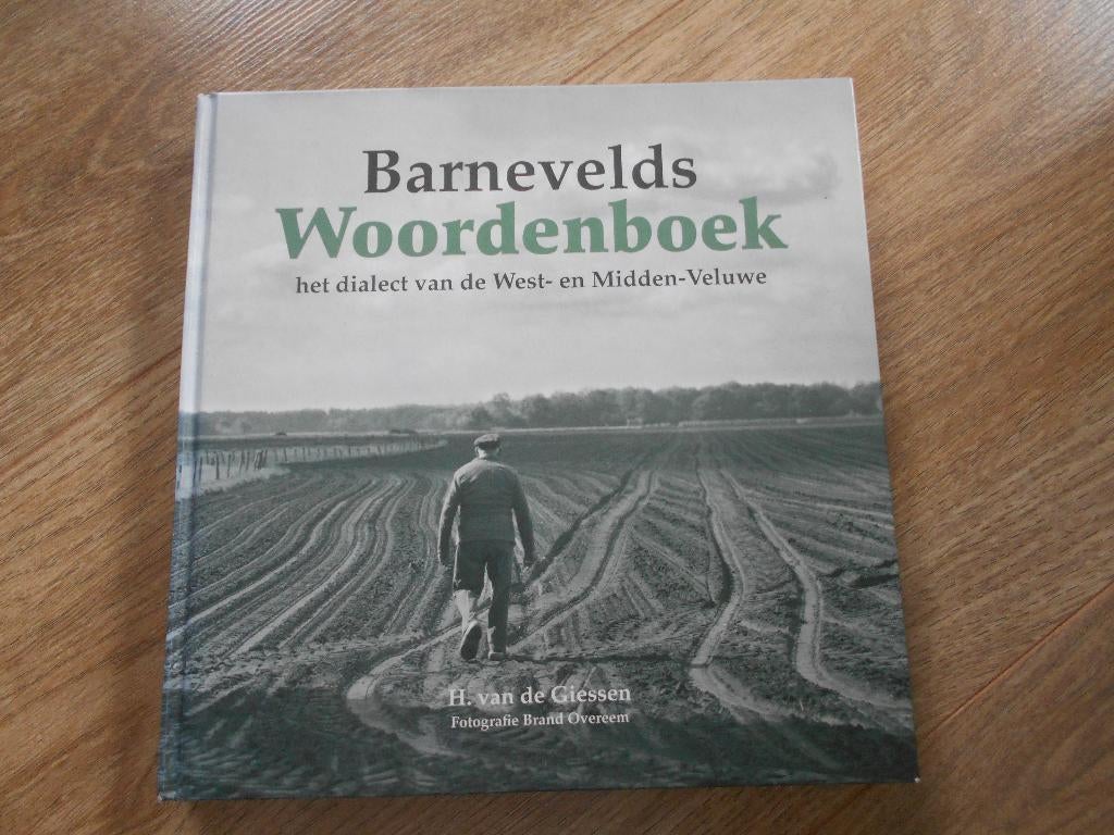 H. van de Giessen Barneveldse Woordenboek, Boeken, Ophalen of Verzenden, Zo goed als nieuw