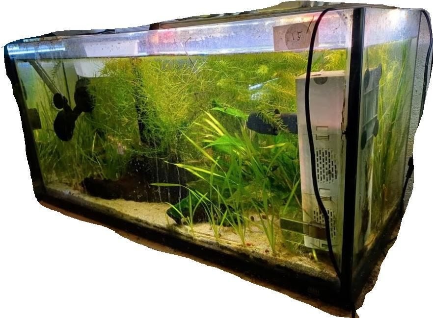aquarium 80cm lang x 30cm diep x 40cm hoog, Ophalen, Gebruikt, Leeg aquarium, Juwel