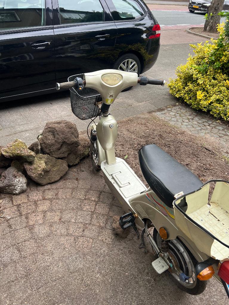 Greenbike, Fietsen en Brommers, Ophalen, Gebruikt, Onbekend