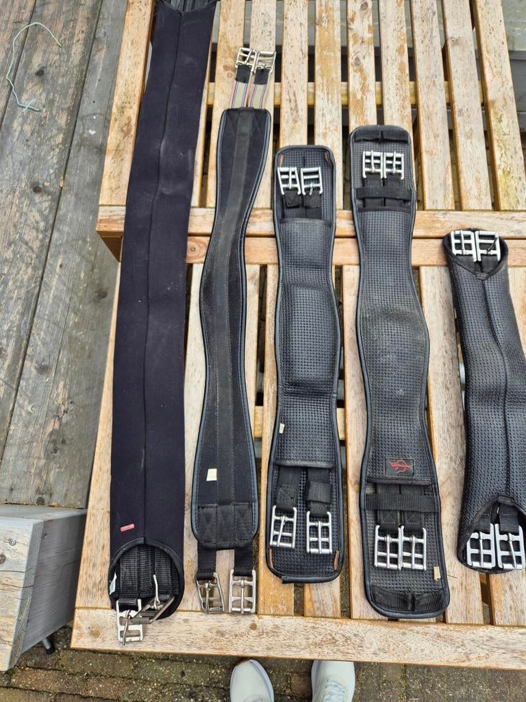 Singels, Dieren en Toebehoren, Ophalen, Dressuur