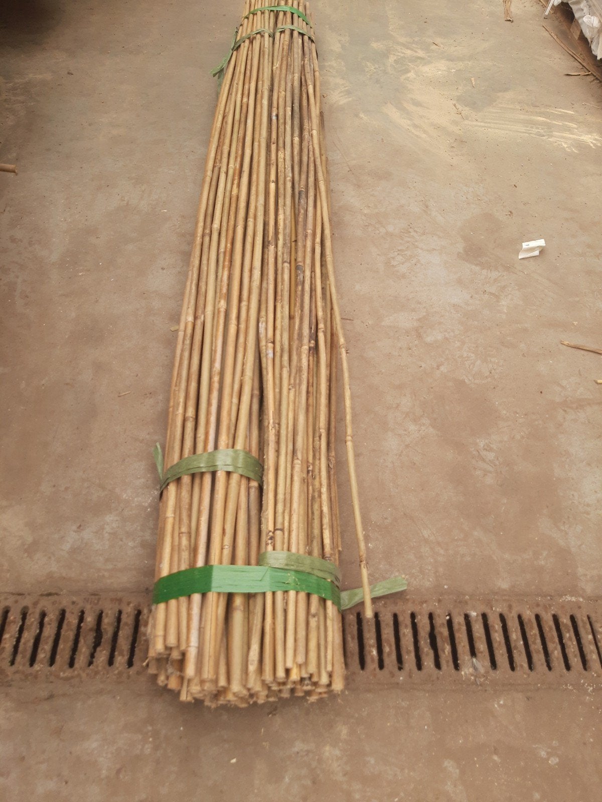 100 Bamboe stokken 210 cm lang, diameter 16/18 mm., Ophalen of Verzenden, Nieuw