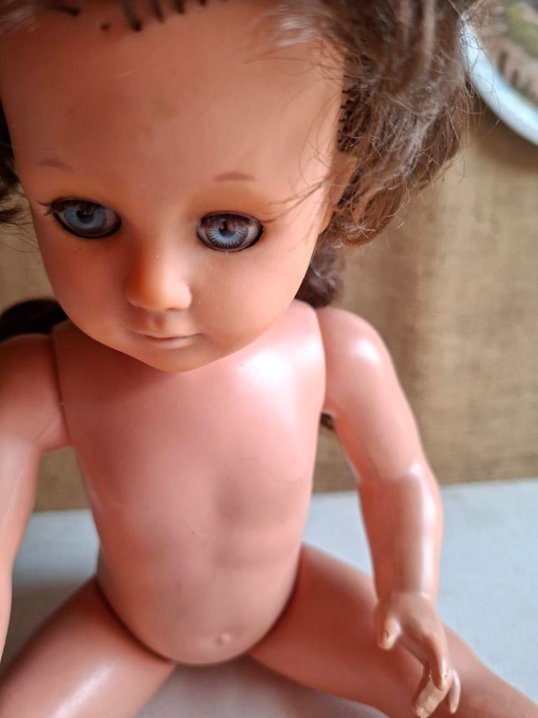 Vintage Schildpad Pop - Jaren '60/'70, Ophalen of Verzenden, Gebruikt, Overige typen