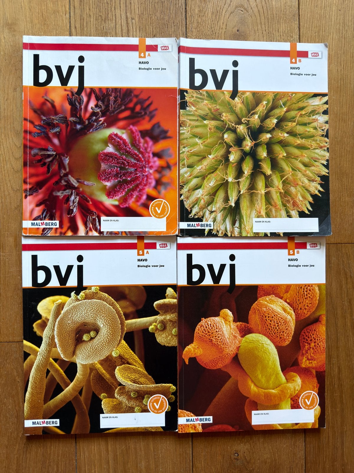 Biologie voor jou HAVO 4A, 4B, 5A, 5B Malmberg, Ophalen of Verzenden, Gelezen, HAVO, Biologie