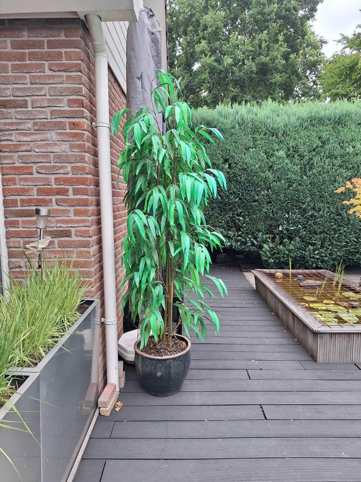 Kunstplant Bamboe 220 cm in Antraciet/Blauwe Aardewerk Pot, Ophalen, Groen, Onderhoudsvrij, Kunstplant