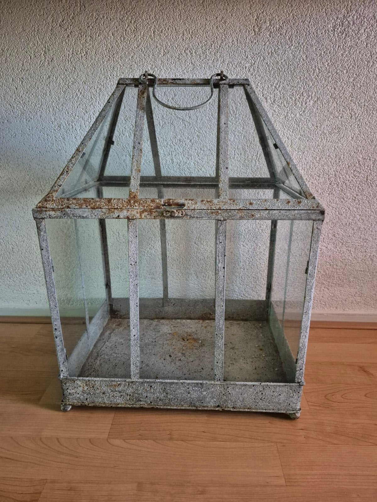 Antiek ijzeren plantenkasje kweekkas, Ophalen, Glas, Gebruikt, Staal