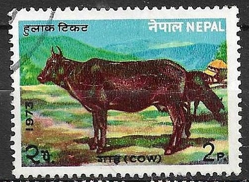 Nepal postzegel 1973 - Koe (Cow), Ophalen of Verzenden, Gestempeld, Zuid-Azië