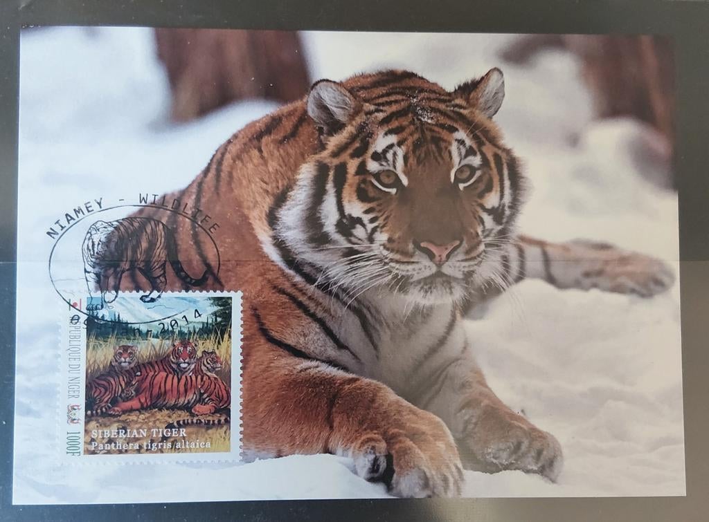 Diverse uitgave items Siberische tijger Rep. du Niger 2014, Verzenden, Gestempeld, Dier of Natuur