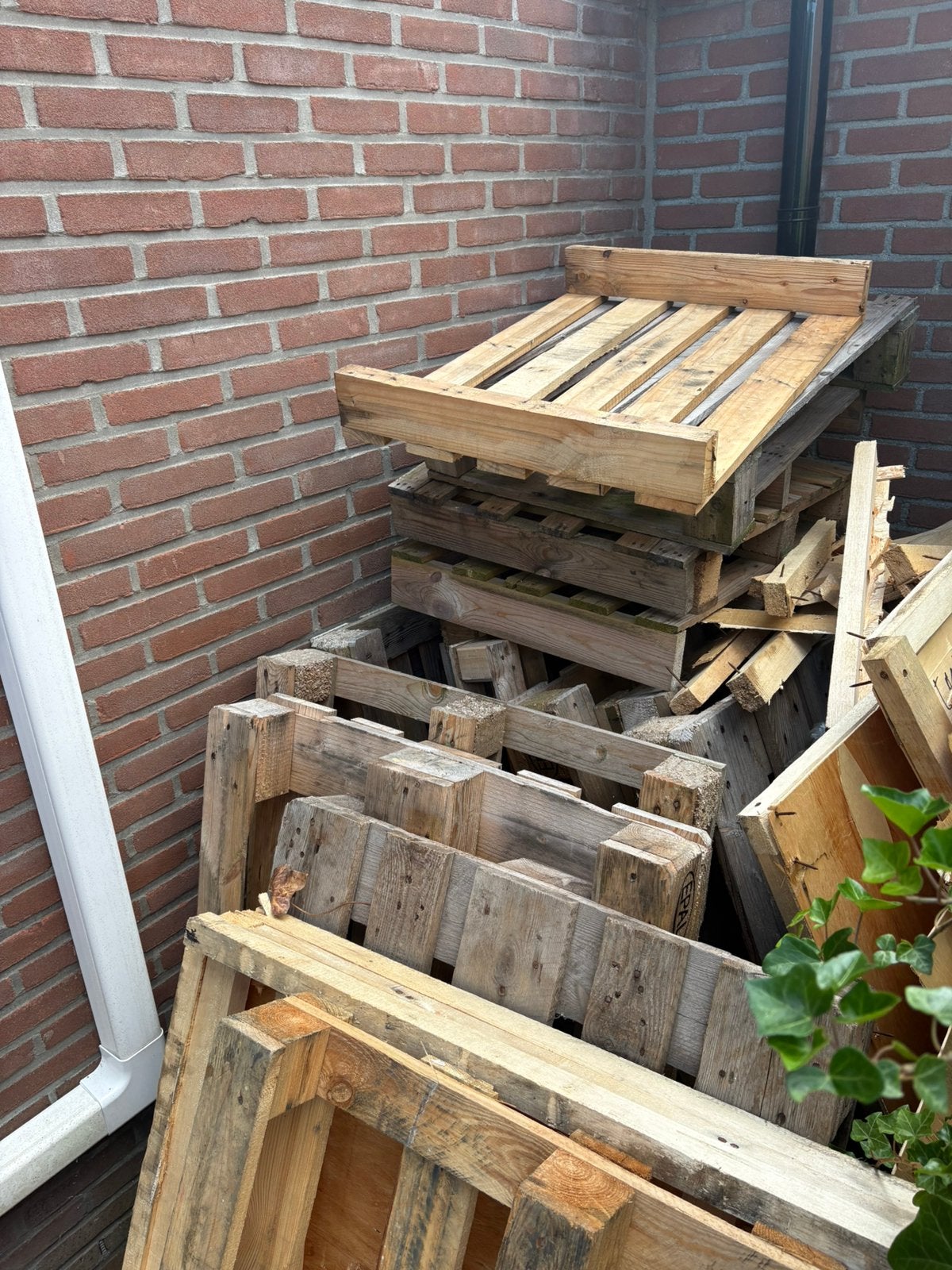 Verschillende (euro) pallets. Gratis afhalen, Ophalen, Zo goed als nieuw, Pallet, Minder dan 200 cm