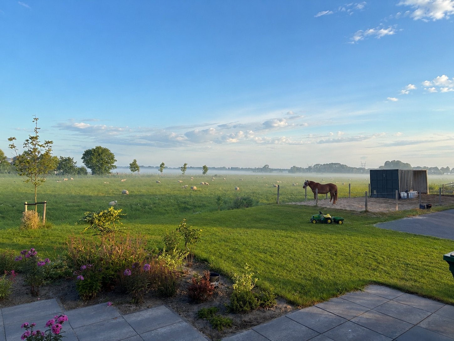 Pensionstalling voor pony, Dieren en Toebehoren, Stalling en Weidegang, Weidegang, 2 of 3 paarden of pony's