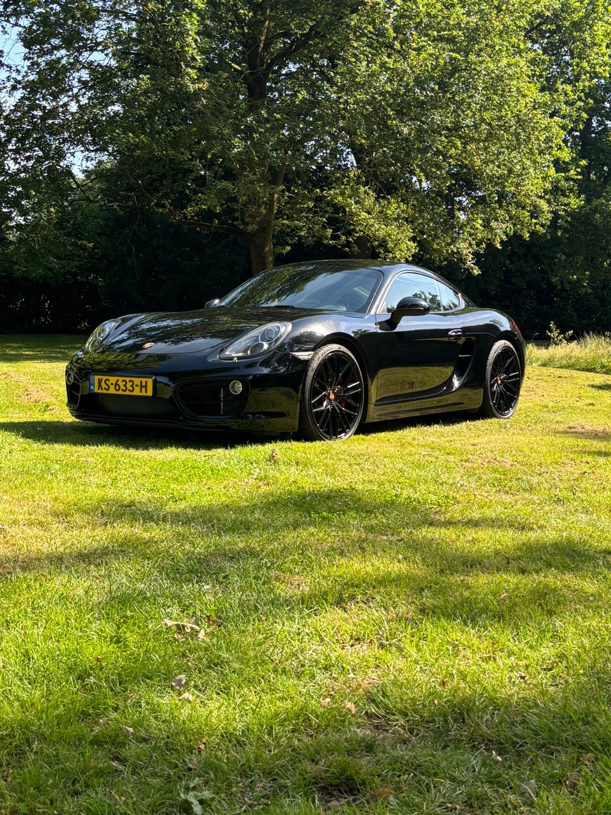 Porsche Cayman S 3.4  239KW A7 PDK 2013 Zwart, Auto's, Porsche, Zwart, Startonderbreker, Leder, Dealer onderhouden