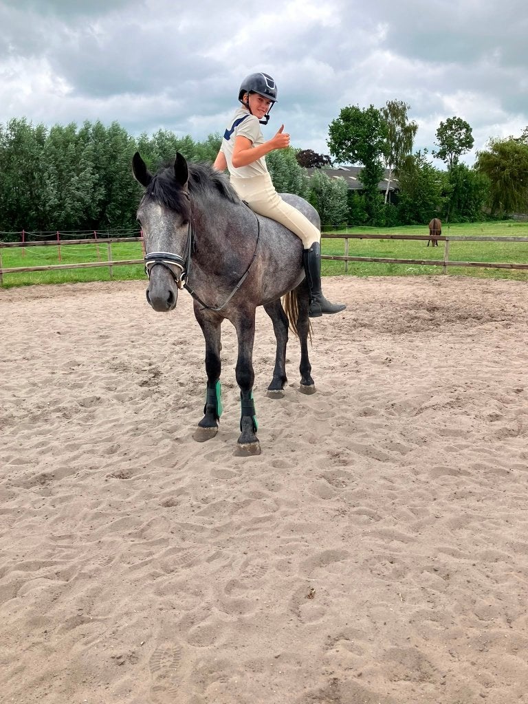 ## SUPER MAKKE, top brave en prachtige Epony ##, Met stamboom, 3 tot 6 jaar, Recreatiepony, Merrie