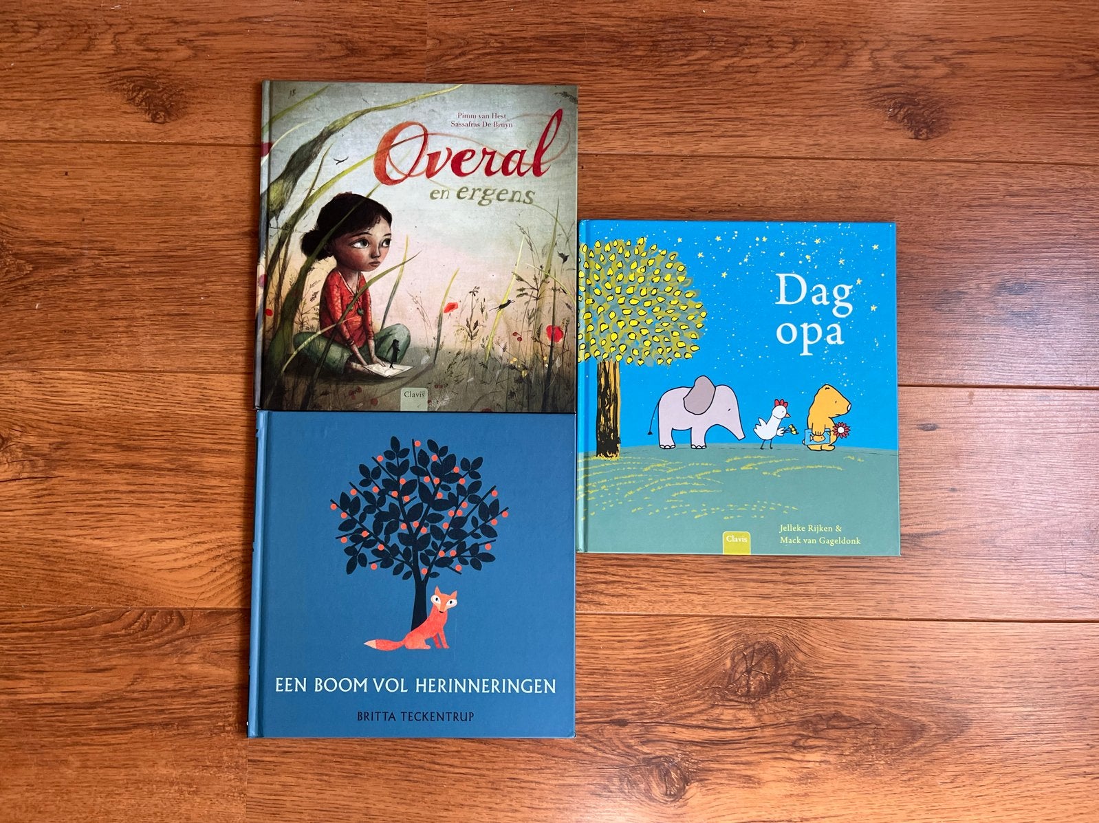 Prentenboeken thema “rouw” voor 4-7 jaar (helemaal nieuw), Fictie algemeen, Jongen of Meisje, Nieuw, Ophalen of Verzenden