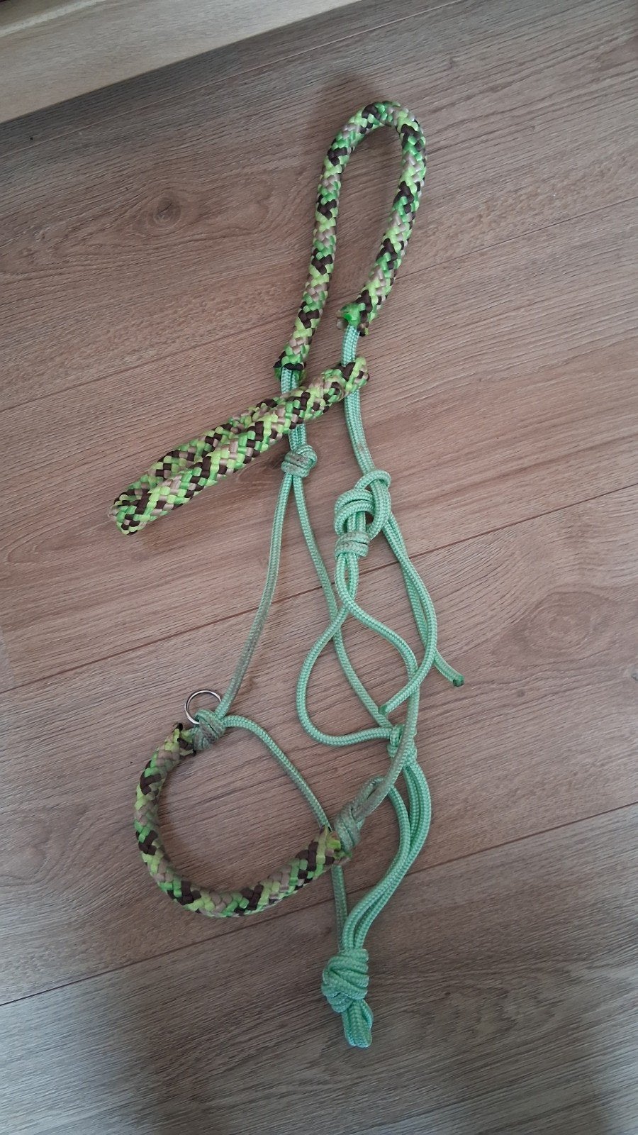Touwhalster met bijpassende teugels, Dieren en Toebehoren, Paarden en Pony's | Hoofdstellen en Tuigage, Recreatie, Ophalen of Verzenden