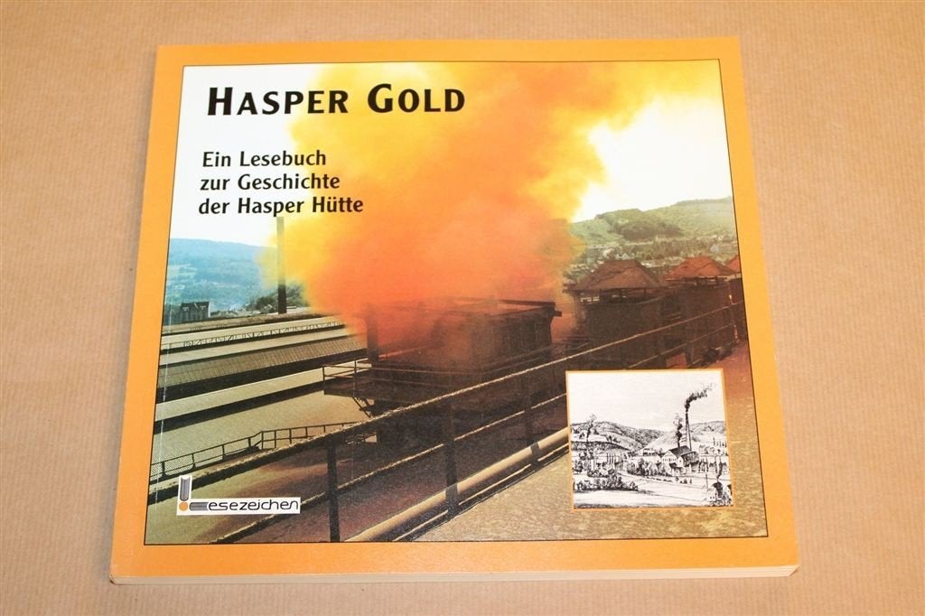 Hasper Gold — Geschiedenis van de Hasper Hütte 1998, Boeken, Ophalen of Verzenden, Gelezen, Europa