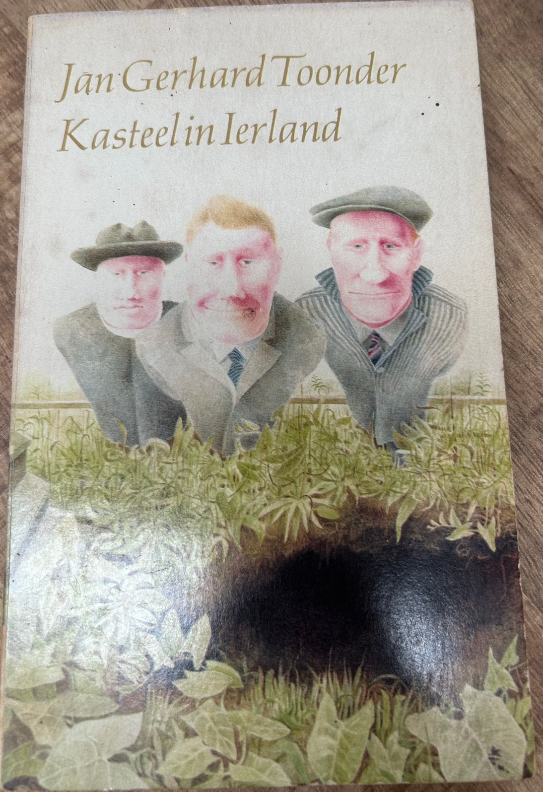 Kasteel in Ierland - Jan Gerhard Toonder (Boekenweek 1970), Ophalen of Verzenden, Gelezen