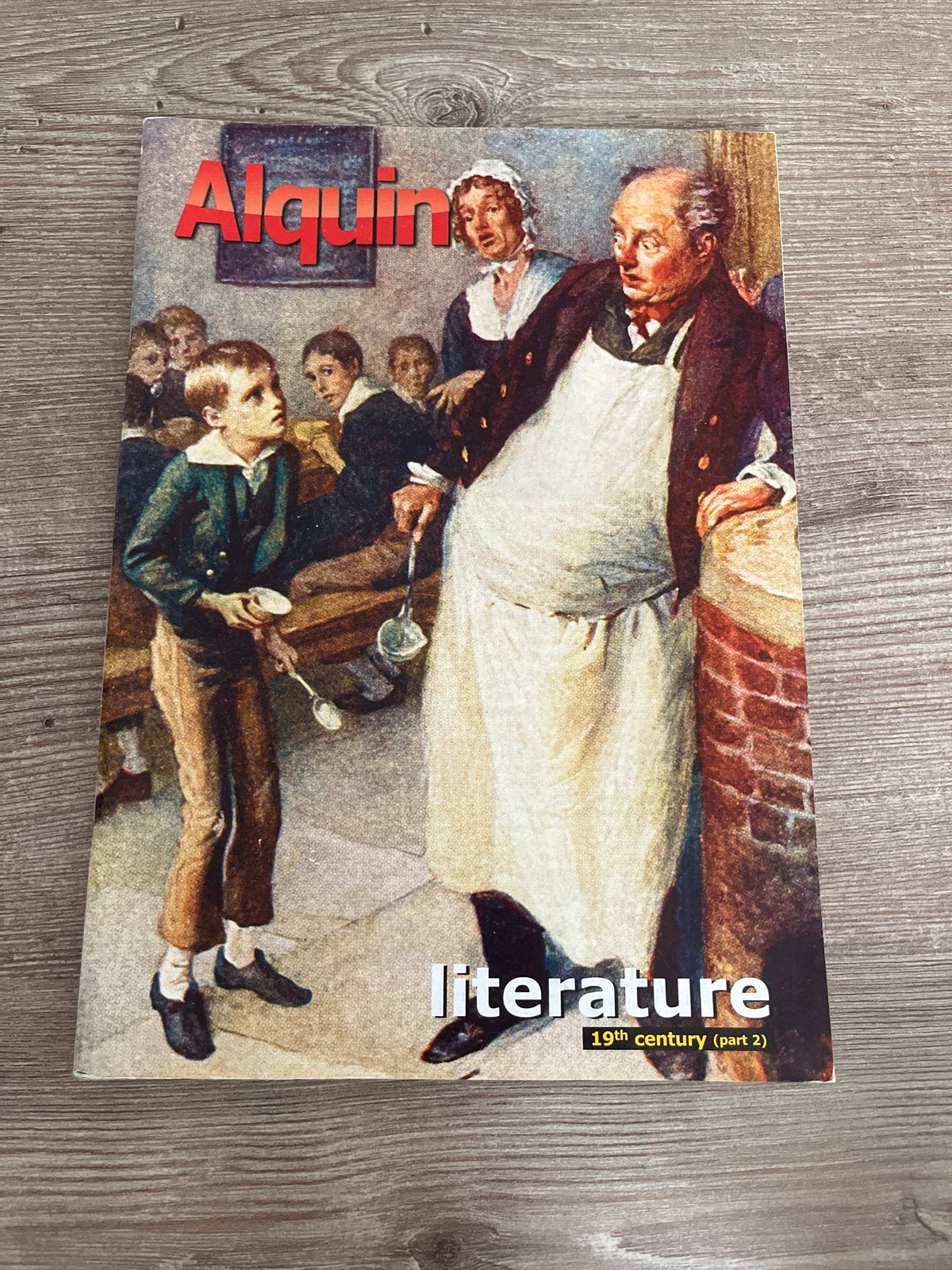 Alquin Literature 19th Century (Part 2) - Studieboek, Boeken, Ophalen of Verzenden, Gelezen, Nederland