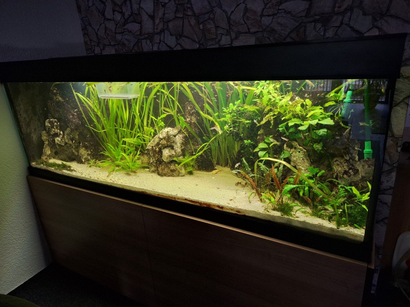 groot 2 meter aquarium, Ophalen, Leeg aquarium