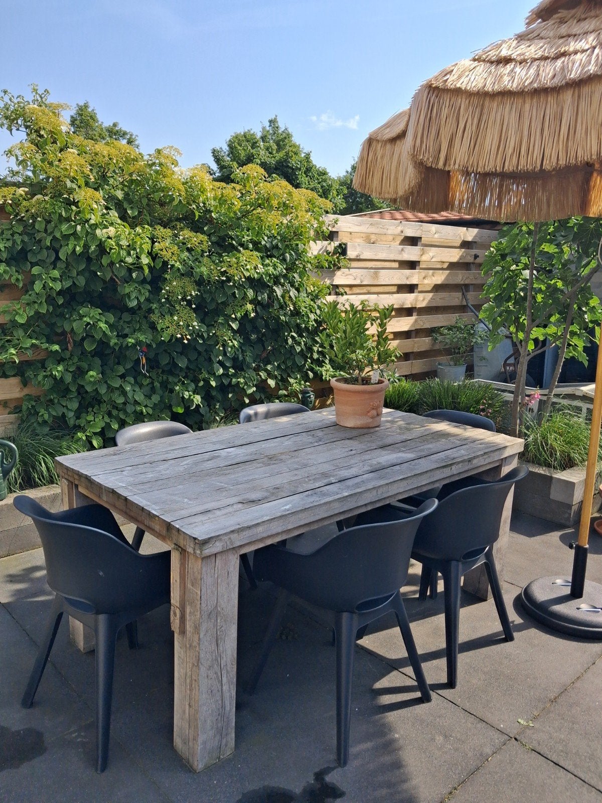 6 Antarciet kleurige tuinstoelen, Ophalen, Gebruikt, Kunststof