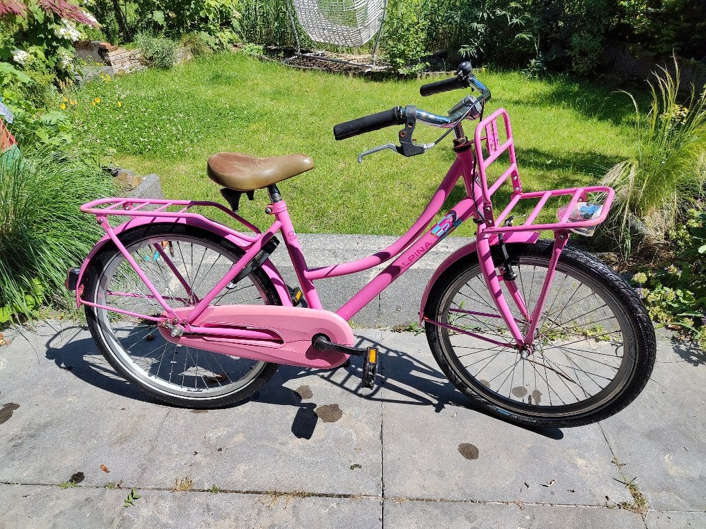 Roze Meisjesfiets Alpina Cargo transporter 22 inch, Fietsen en Brommers, Fietsen | Meisjes, Ophalen, 22 inch, Gebruikt, Velgrem