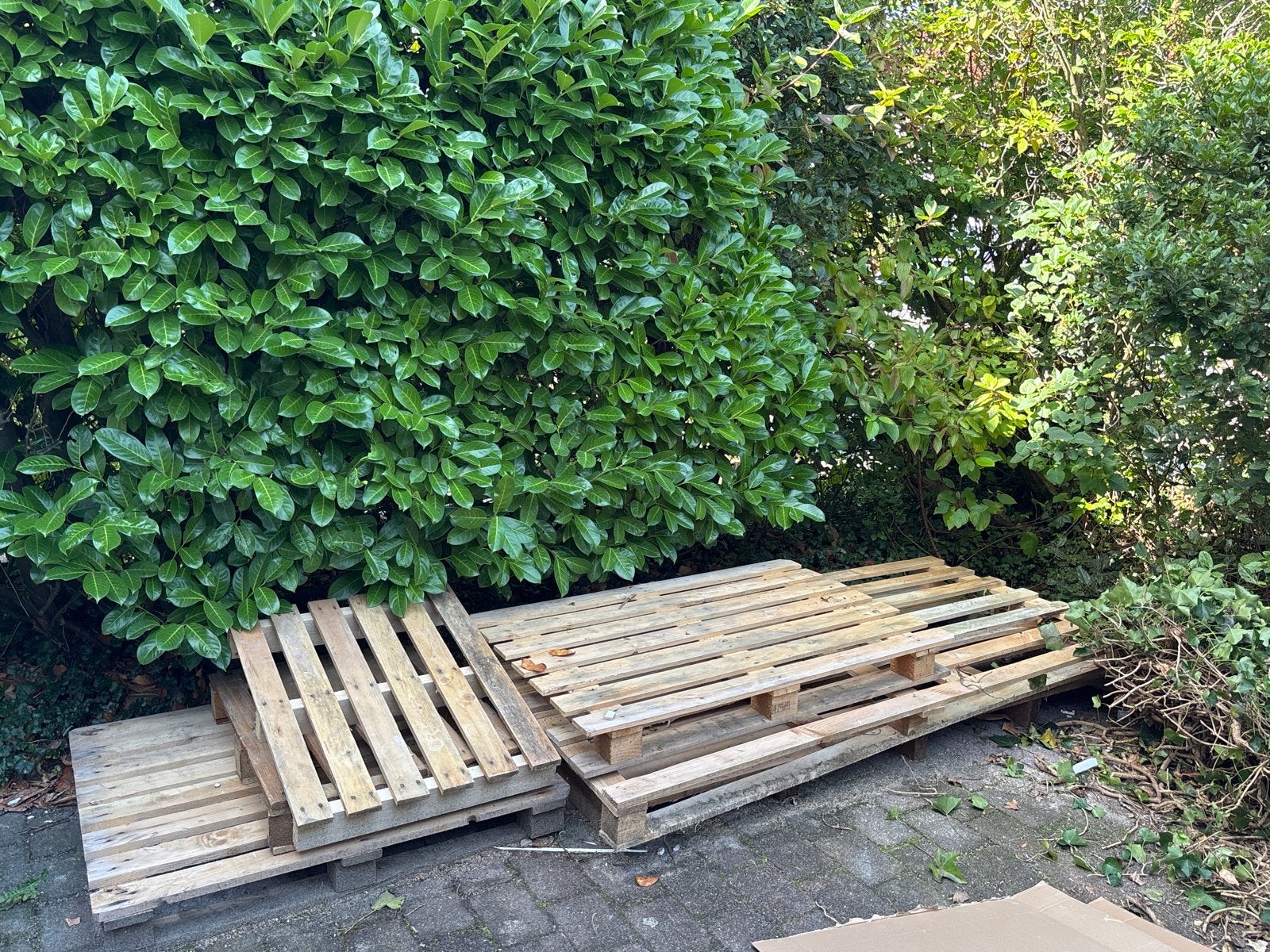 Pallets gratis op te halen, Doe-het-zelf en Verbouw, Ophalen, Gebruikt, Pallet