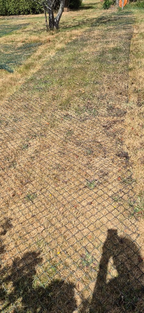 harmonicagaas groen geplastificeerd hoogte 2 mtr, Tuin en Terras, Gaas en Draad, Ophalen, Gebruikt, Minder dan 10 meter