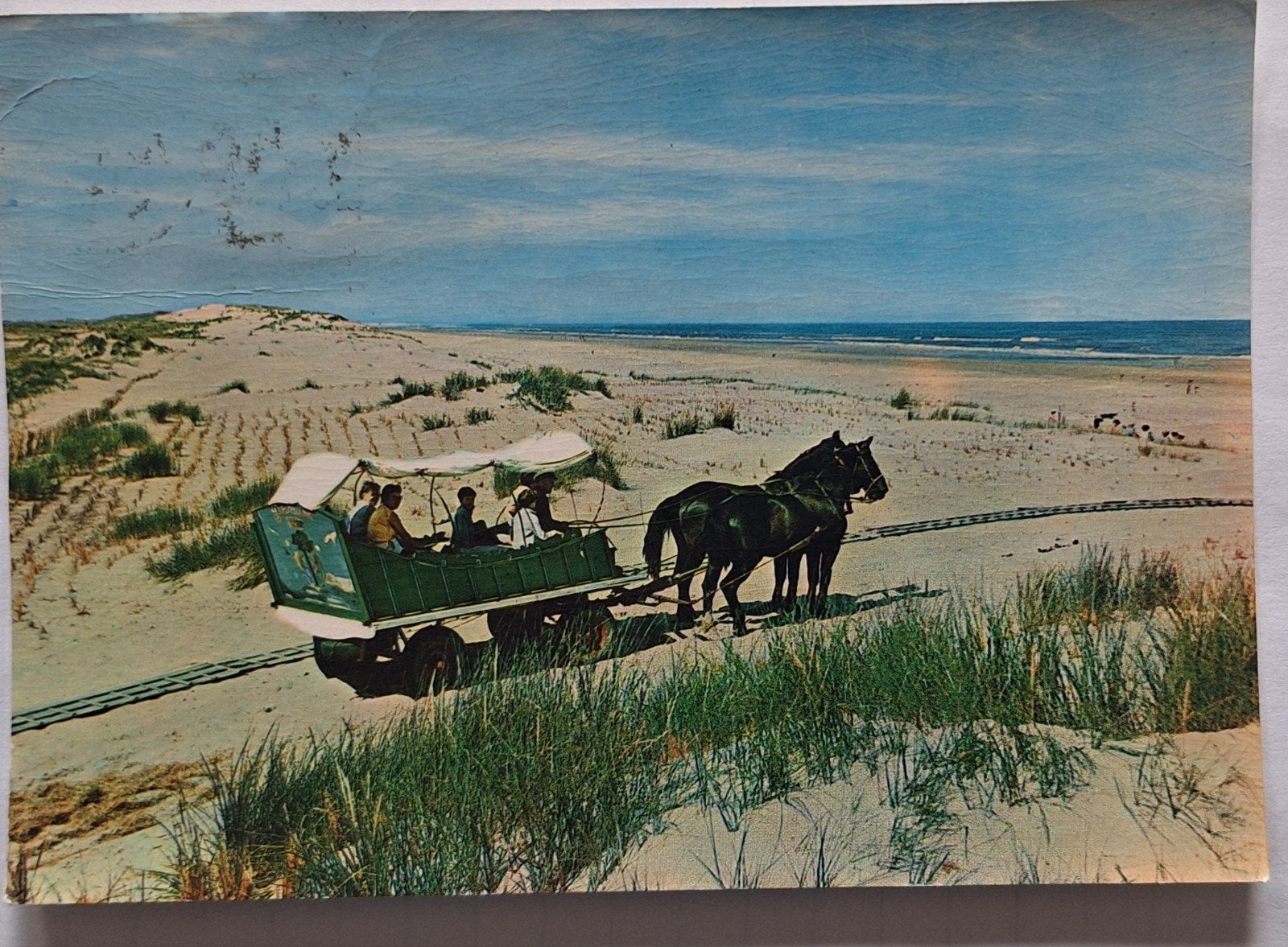 Oude ansichtkaart Terschelling: Met de huifkar naar de bosp, Ophalen of Verzenden, 1960 tot 1980, Gelopen, Waddeneilanden