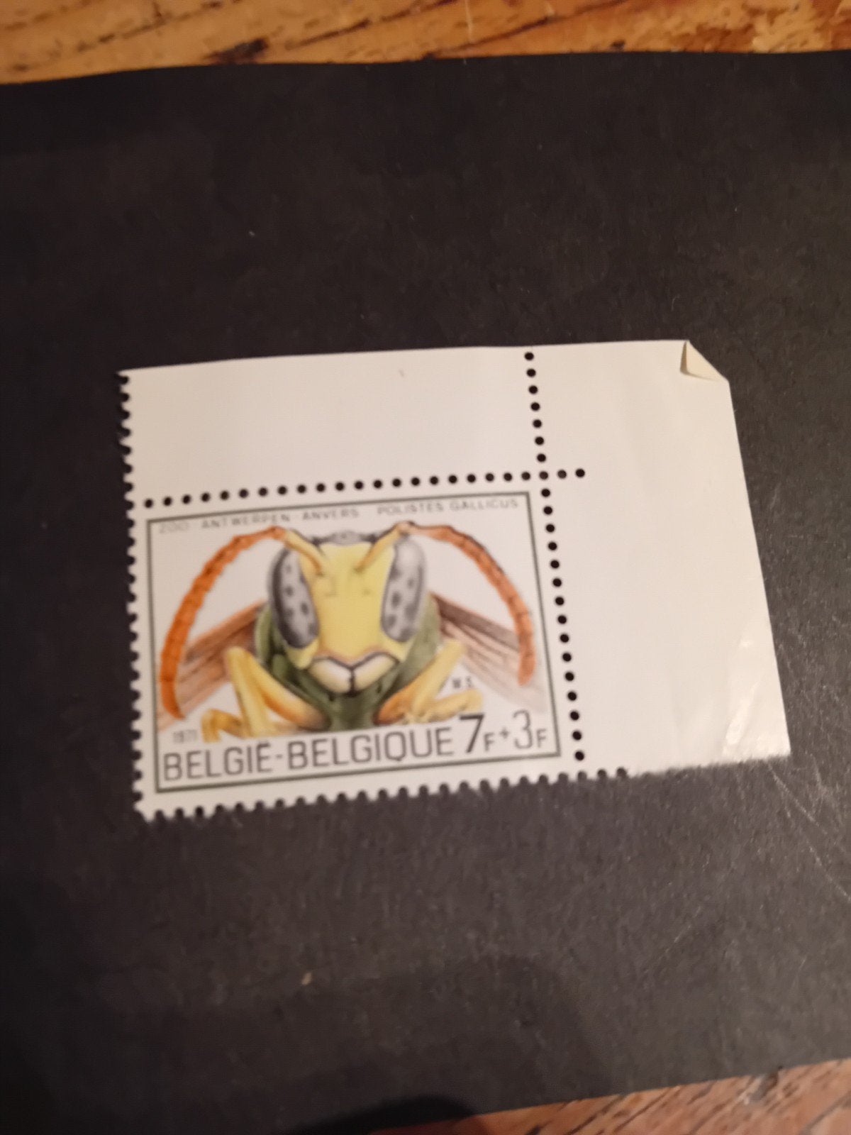 Belgische postzegel 1971 - Polistes Gallicus (Wesp), Ophalen of Verzenden