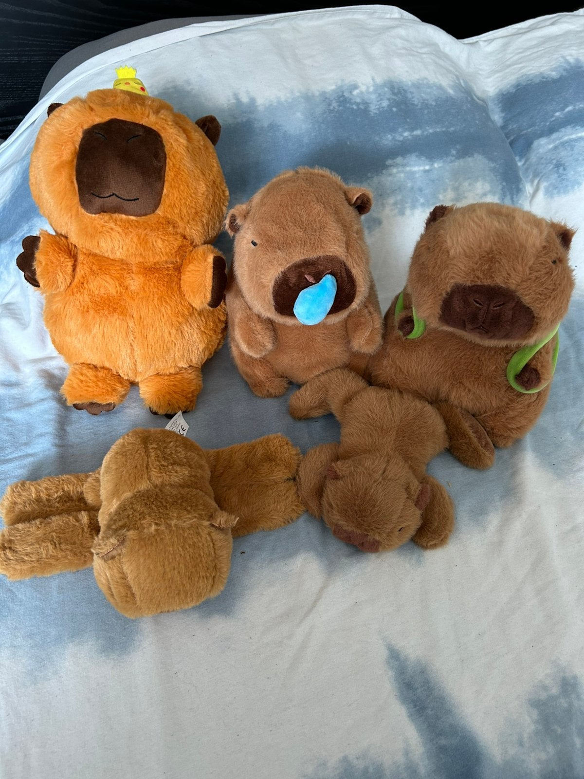 Capibara knuffels 5 stuks, Ophalen of Verzenden, Zo goed als nieuw, Overige typen