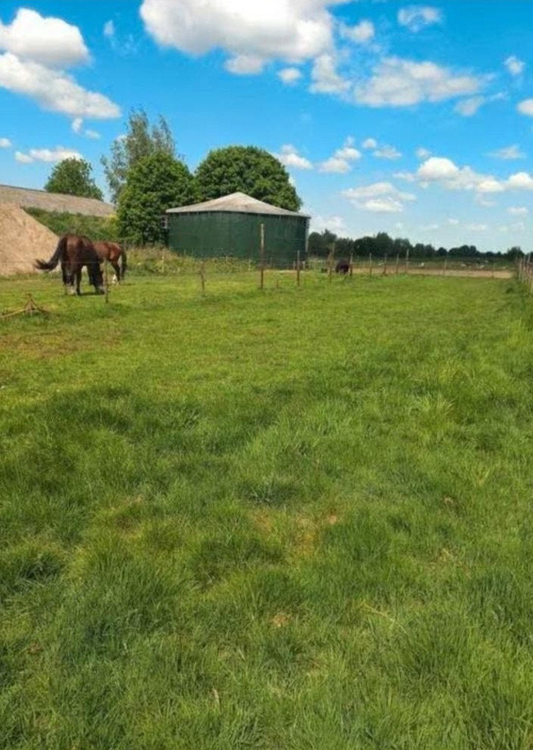 2 plekken vrij paarden dhz eigen beheer hp, Stalling, 2 of 3 paarden of pony's