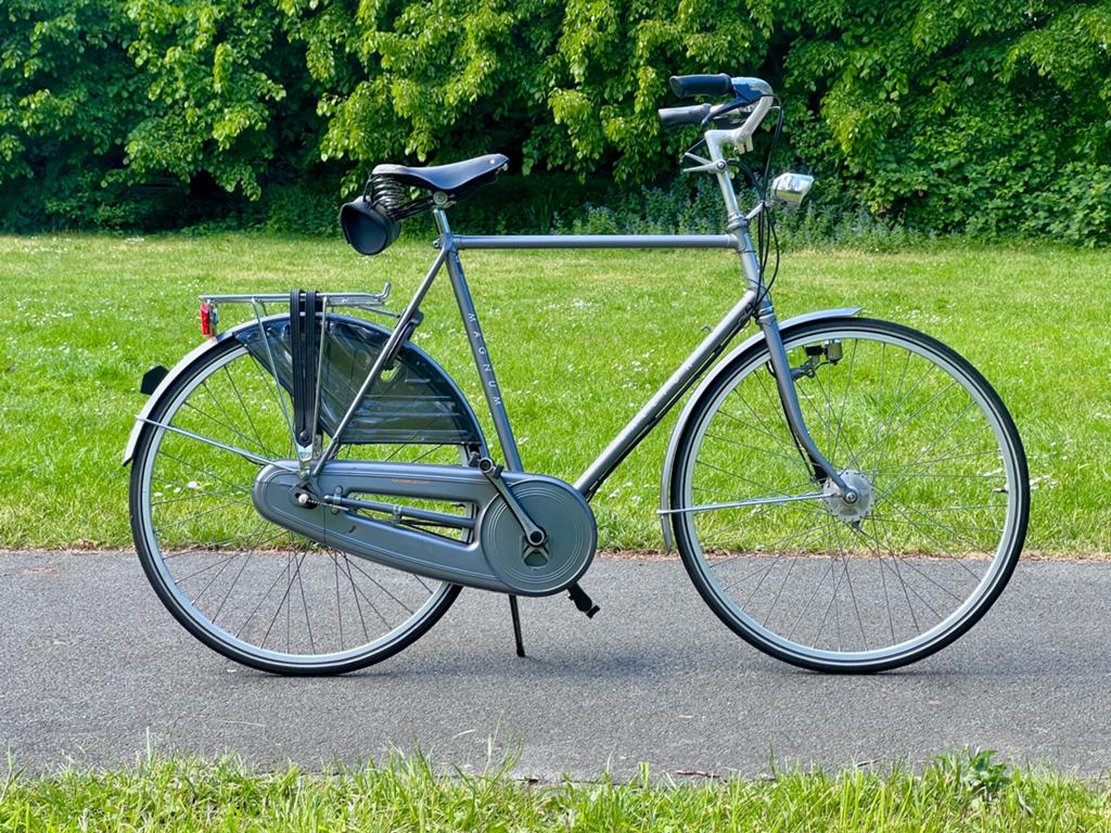 Bijzondere vintage Raleigh Magnum, Ophalen, Zo goed als nieuw, Overige merken, Versnellingen