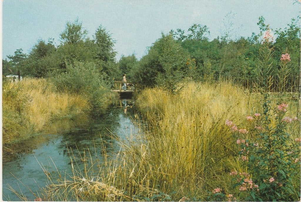 AMERICA Het Meerdal Bungalowpark Sporthuis Centrum, Verzenden, 1980 tot heden, Gelopen, Limburg