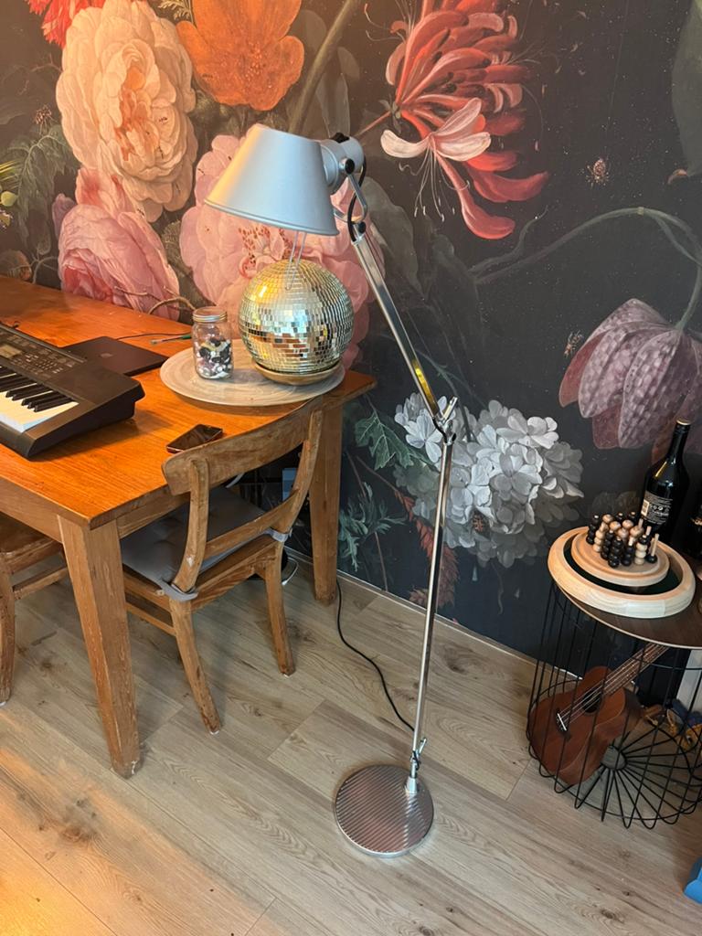 Artemide Tolomeo design Vloerlamp Michele De Lucchi, Ophalen, Zo goed als nieuw, 150 tot 200 cm