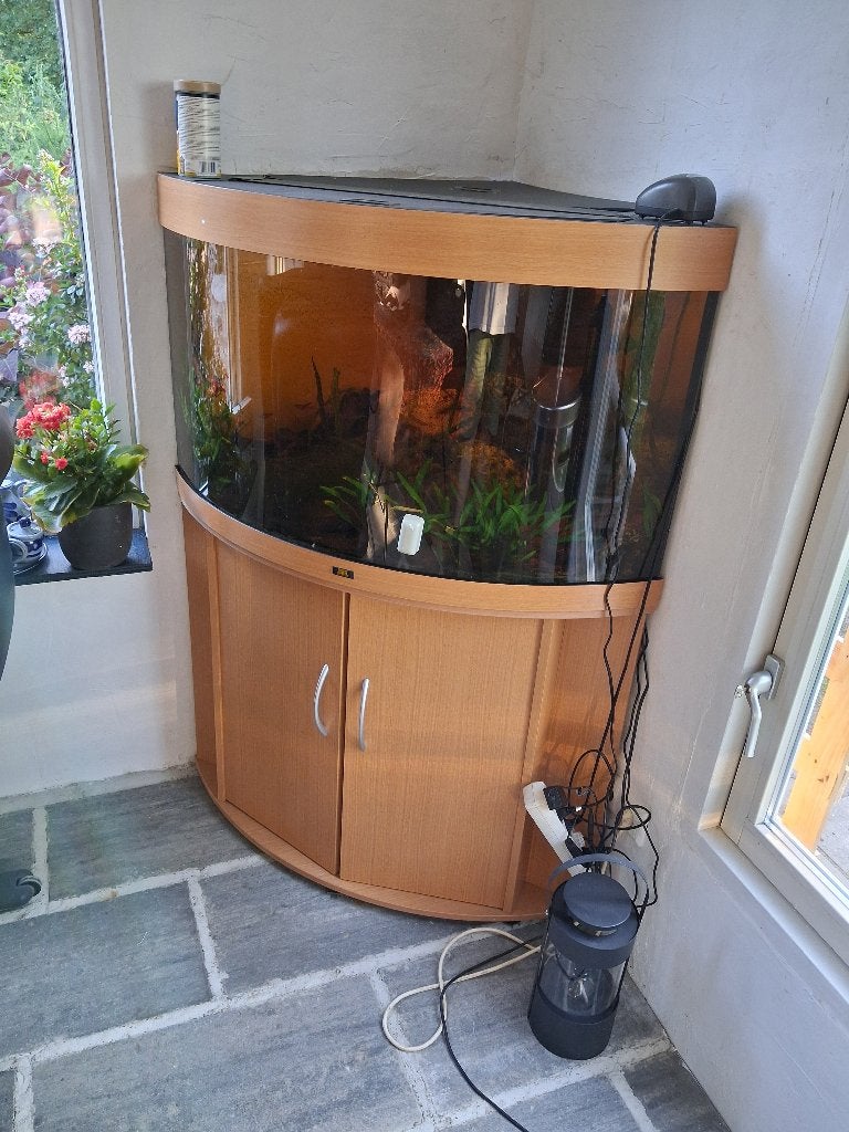 Aquarium incl benodigdheden en vissen., Dieren en Toebehoren, Ophalen, Inclusief vissen, Gebruikt, Gevuld zoetwateraquarium