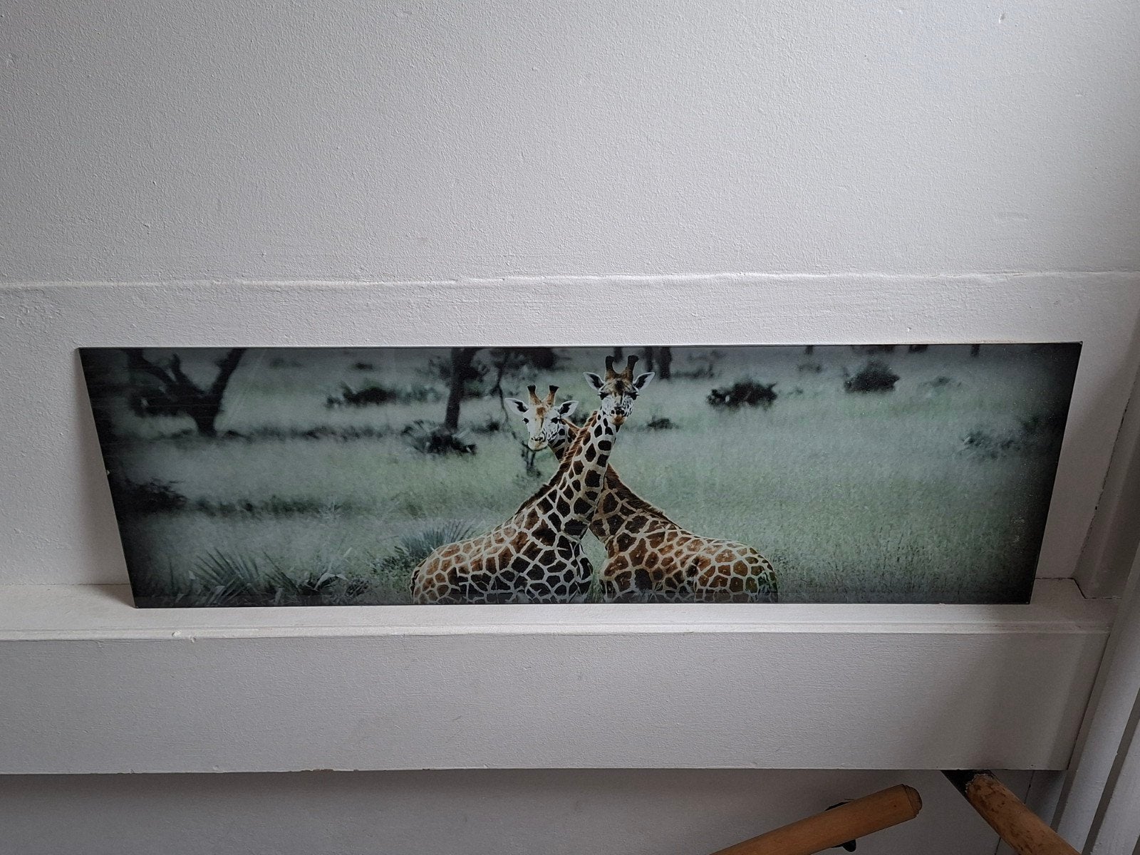 Glazen giraf schilderij, Ophalen, Zo goed als nieuw, Schilderij, 75 cm of meer