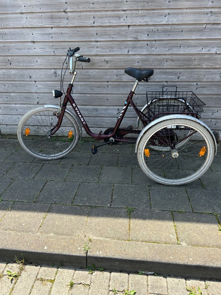 driewielerfiets, Fietsen en Brommers, Fietsen | Driewielfietsen, Gebruikt, Terugtraprem, Ophalen