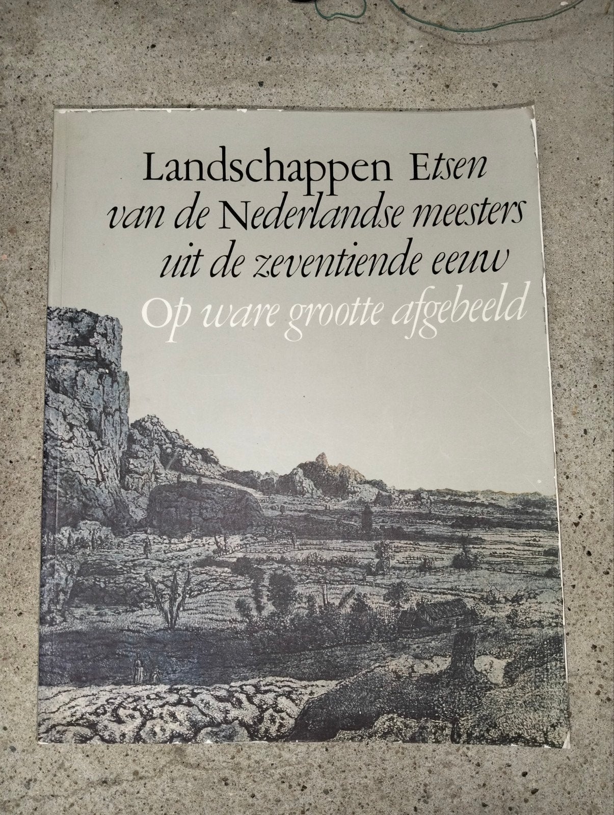 Mooi boek over landschappen etsen., Ophalen of Verzenden, Gelezen
