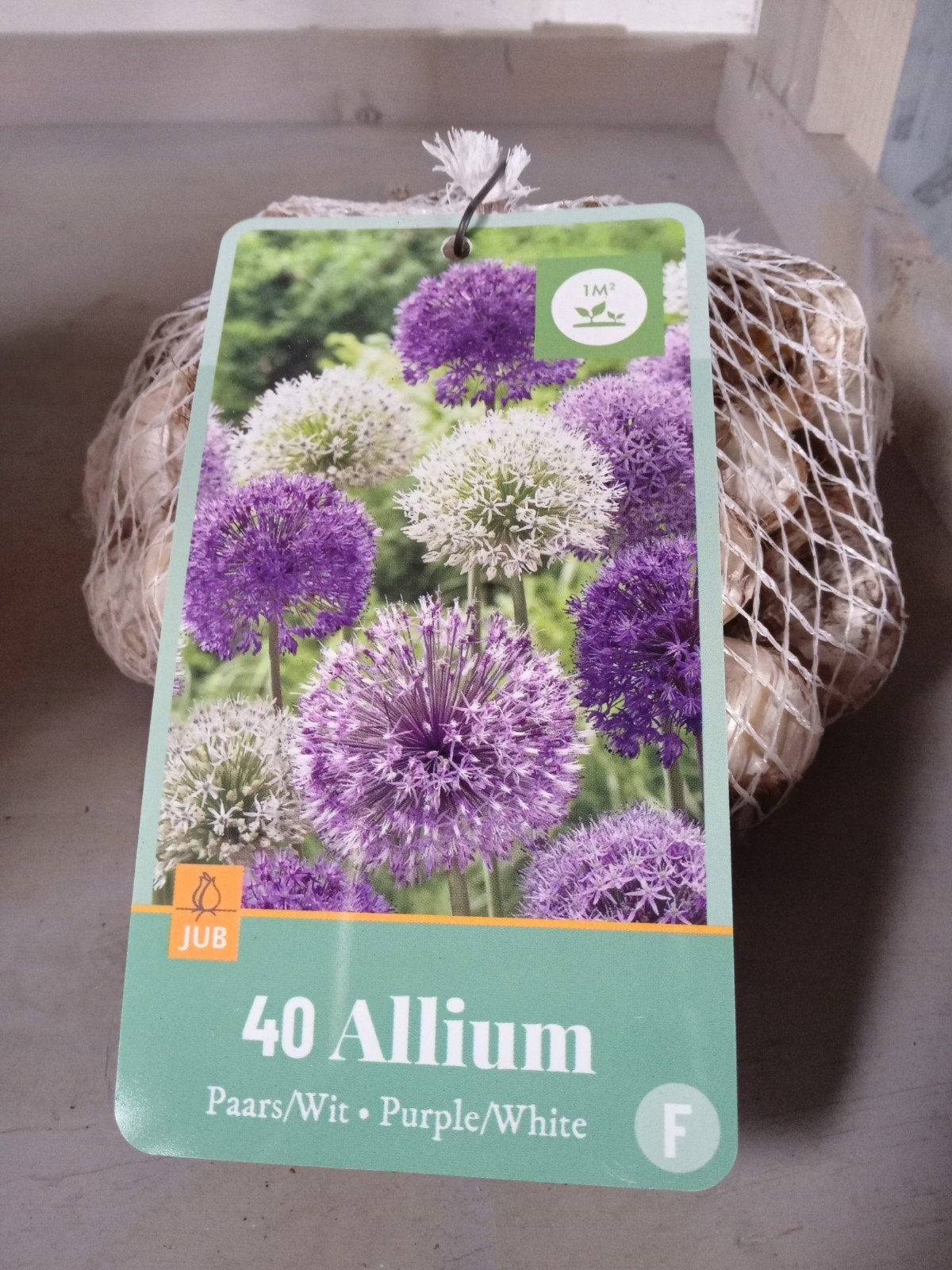 40 Allium Bloembollen - Paars/Wit, Tuin en Terras, Ophalen of Verzenden, Najaar, Volle zon, Bloembol