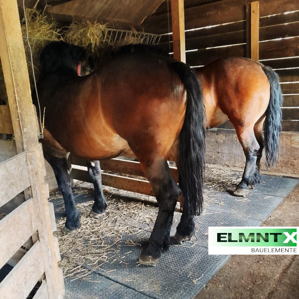 Massieve paddockplaat & stalmat 120x80 cm (35 kg), Dieren en Toebehoren, Stalling en Weidegang, Toebehoren