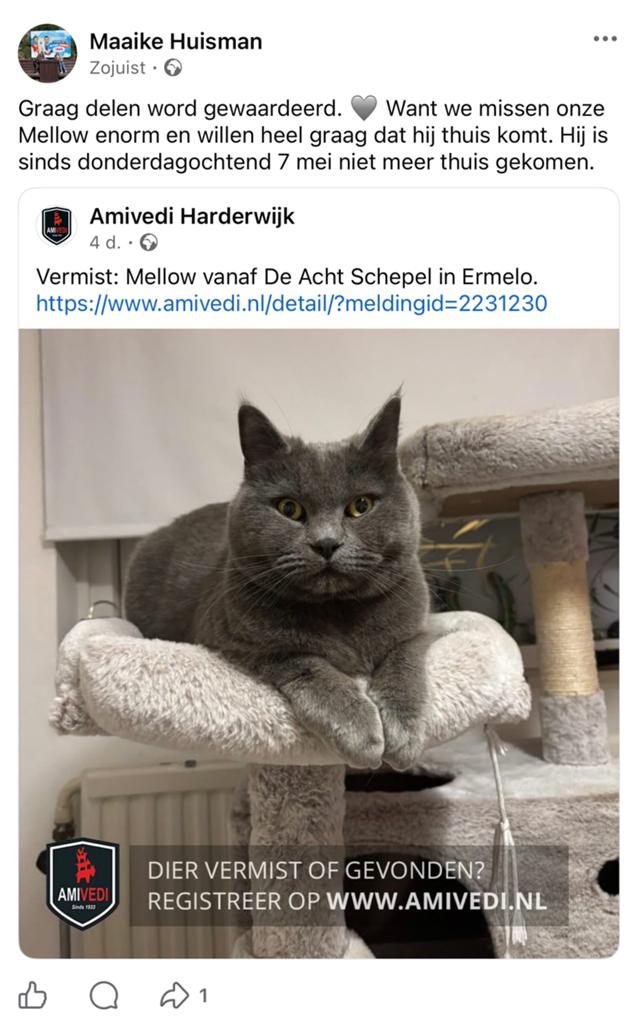 Vermist Mellow, Kat