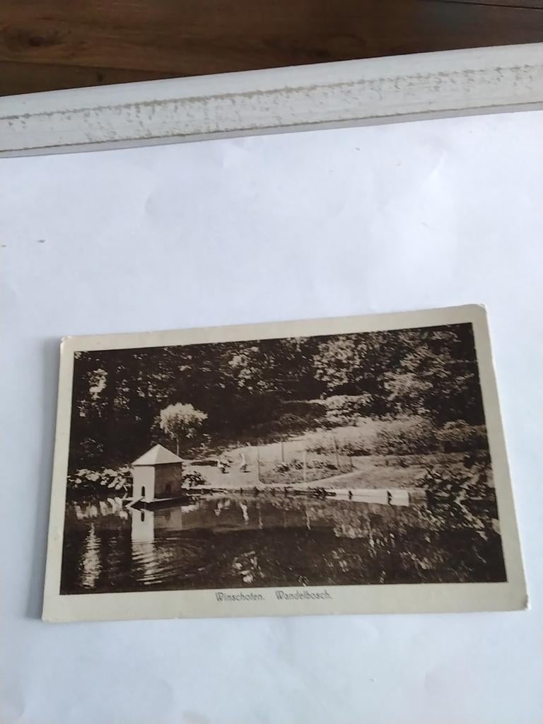 WINSCHOTEN. WANDELBOSCH 1947, Ophalen of Verzenden, 1940 tot 1960, Groningen